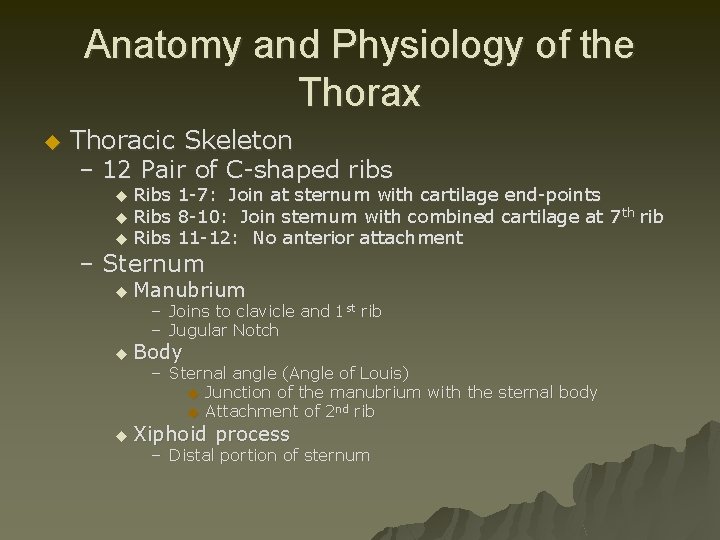 Anatomy and Physiology of the Thorax u Thoracic Skeleton – 12 Pair of C-shaped
