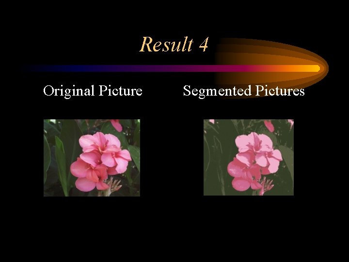 Result 4 Original Picture Segmented Pictures 