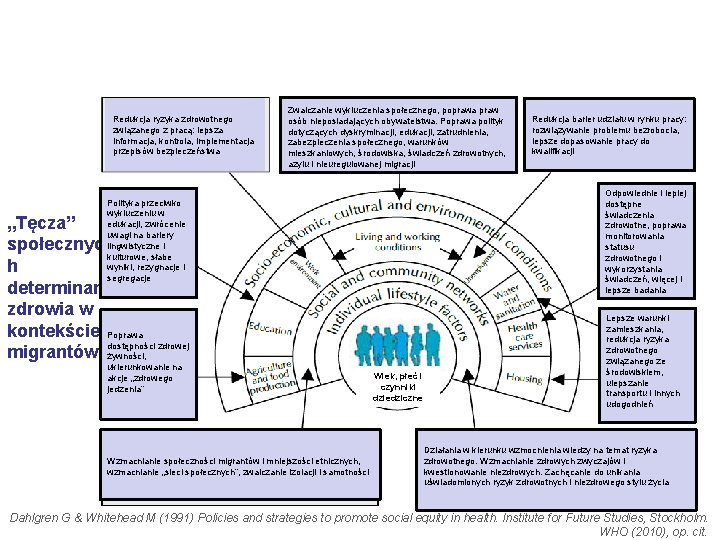 Redukcja ryzyka zdrowotnego związanego z pracą: lepsza informacja, kontrola, implementacja przepisów bezpieczeństwa Zwalczanie wykluczenia