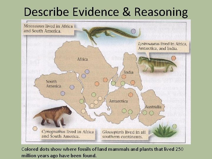 Describe Evidence & Reasoning Colored dots show where fossils of land mammals and plants
