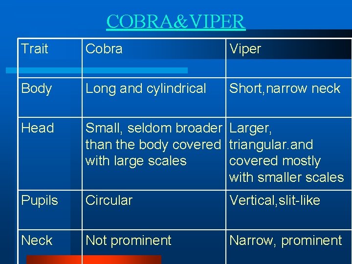 COBRA&VIPER Trait Cobra Viper Body Long and cylindrical Short, narrow neck Head Small, seldom COBRA&VIPER Trait Cobra Viper Body Long and cylindrical Short, narrow neck Head Small, seldom
