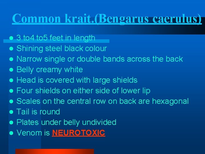 Common krait. (Bengarus caerulus) l l l l l 3 to 4 to 5 Common krait. (Bengarus caerulus) l l l l l 3 to 4 to 5