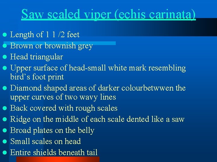 Saw scaled viper (echis carinata) l l l l l Length of 1 1 Saw scaled viper (echis carinata) l l l l l Length of 1 1
