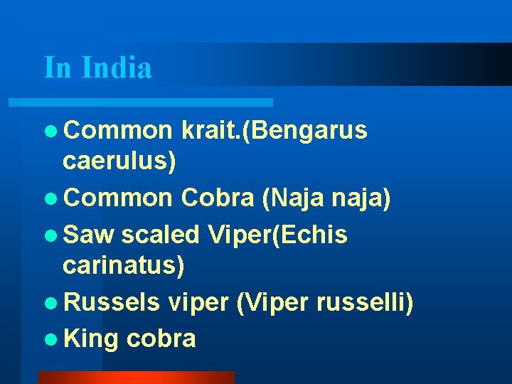 In India l Common krait. (Bengarus caerulus) l Common Cobra (Naja naja) l Saw In India l Common krait. (Bengarus caerulus) l Common Cobra (Naja naja) l Saw