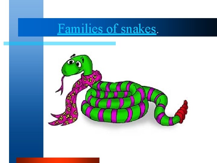 Families of snakes. Families of snakes.
