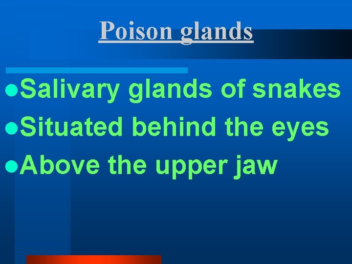 Poison glands l. Salivary glands of snakes l. Situated behind the eyes l. Above Poison glands l. Salivary glands of snakes l. Situated behind the eyes l. Above