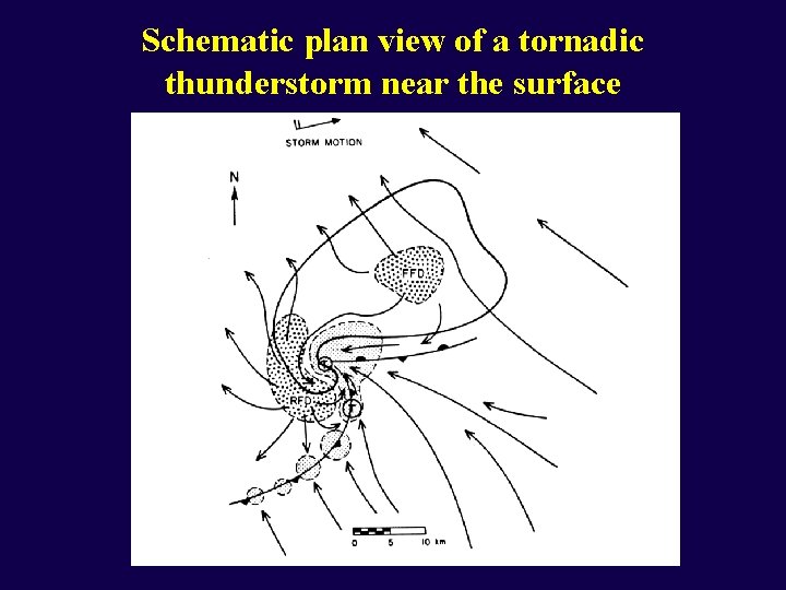 Schematic plan view of a tornadic thunderstorm near the surface 