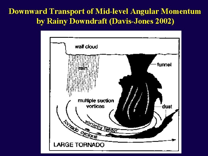 Downward Transport of Mid-level Angular Momentum by Rainy Downdraft (Davis-Jones 2002) 