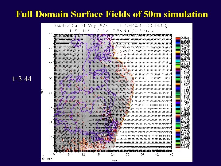 Full Domain Surface Fields of 50 m simulation t=3: 44 