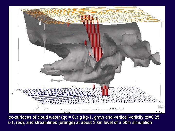 Iso-surfaces of cloud water (qc = 0. 3 g kg-1, gray) and vertical vorticity