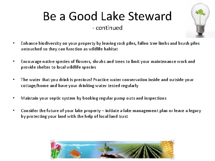 Be a Good Lake Steward - continued • • • Enhance biodiversity on your