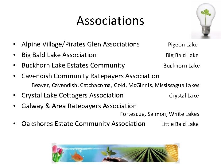 Associations Alpine Village/Pirates Glen Associations Pigeon Lake Big Bald Lake Association Big Bald Lake