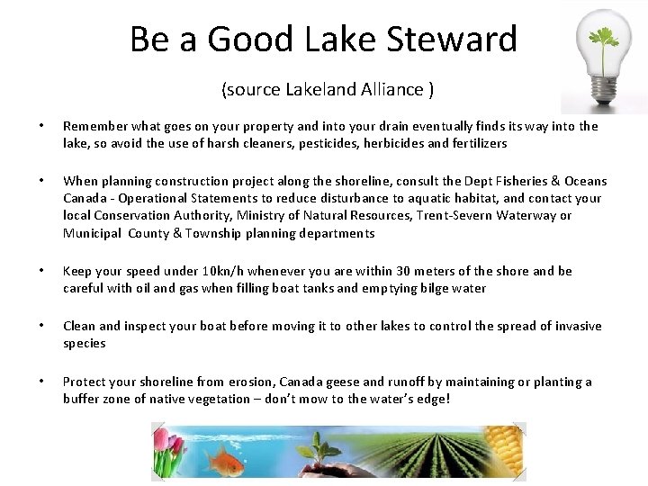 Be a Good Lake Steward (source Lakeland Alliance ) • • • Remember what