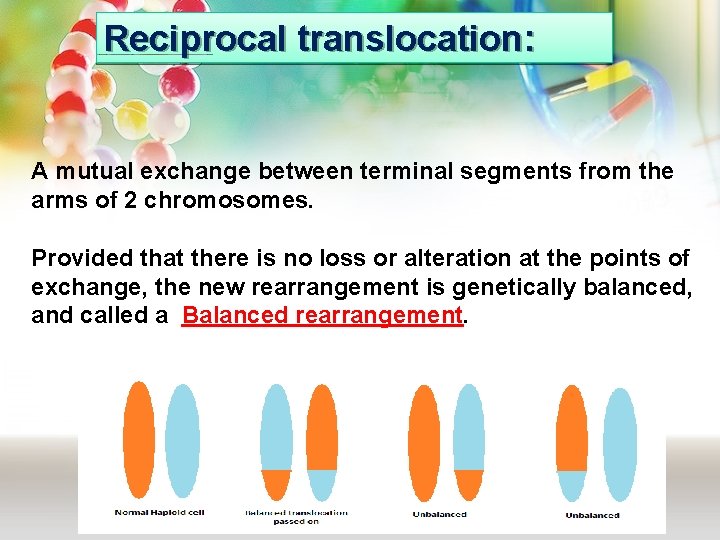 Reciprocal translocation: A mutual exchange between terminal segments from the arms of 2 chromosomes.