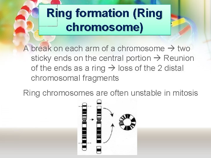 Ring formation (Ring chromosome) A break on each arm of a chromosome two sticky