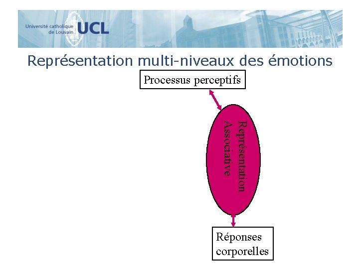 Représentation multi-niveaux des émotions Processus perceptifs Représentation Associative Réponses corporelles 