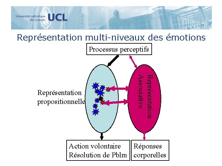 Représentation multi-niveaux des émotions Processus perceptifs Représentation Associative Représentation propositionnelle Action volontaire Réponses Résolution