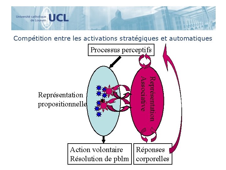 Compétition entre les activations stratégiques et automatiques Processus perceptifs Représentation Associative Représentation propositionnelle Action