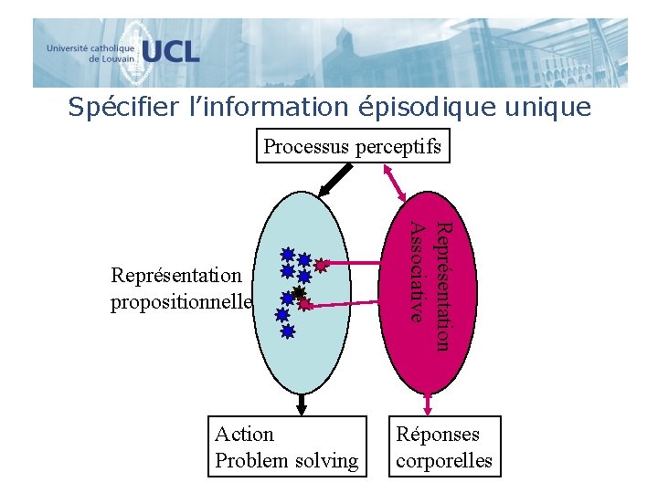 Spécifier l’information épisodique unique Processus perceptifs Action Problem solving Représentation Associative Représentation propositionnelle Réponses