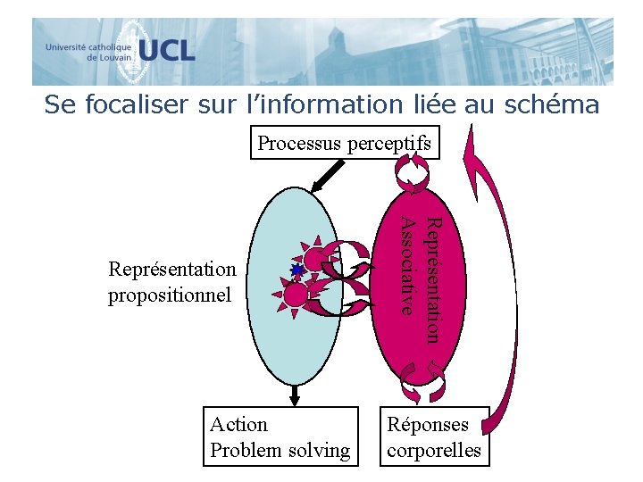 Se focaliser sur l’information liée au schéma Processus perceptifs Action Problem solving Représentation Associative