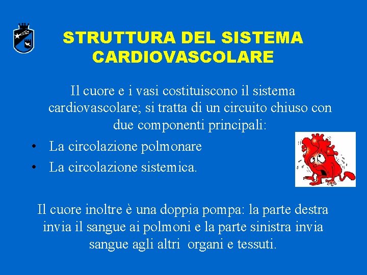 STRUTTURA DEL SISTEMA CARDIOVASCOLARE Il cuore e i vasi costituiscono il sistema cardiovascolare; si