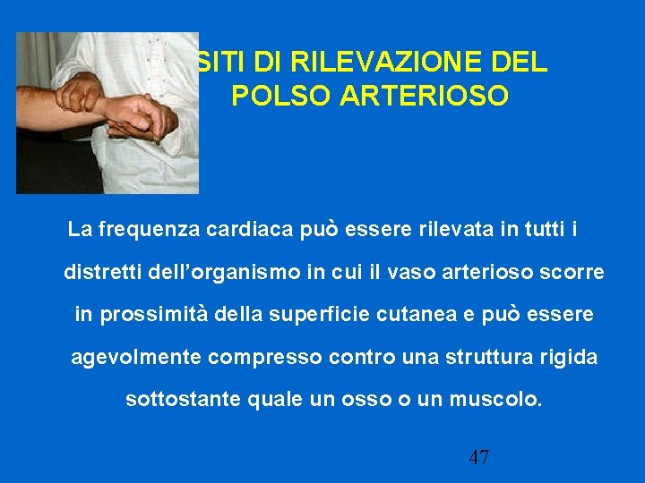 SITI DI RILEVAZIONE DEL POLSO ARTERIOSO La frequenza cardiaca può essere rilevata in tutti