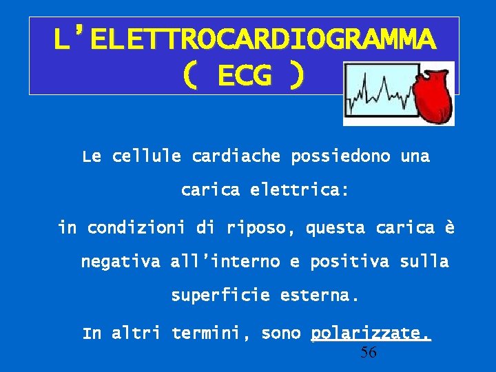 L’ELETTROCARDIOGRAMMA ( ECG ) Le cellule cardiache possiedono una carica elettrica: in condizioni di