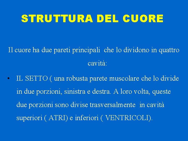 STRUTTURA DEL CUORE Il cuore ha due pareti principali che lo dividono in quattro