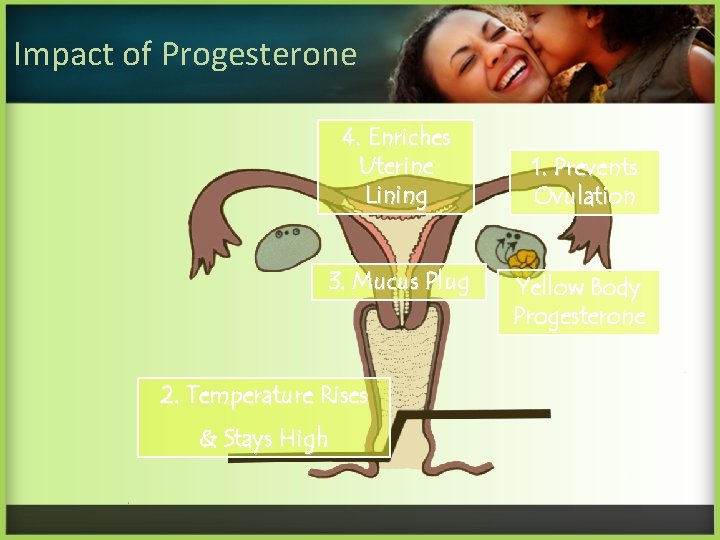 Impact of Progesterone 4. Enriches Uterine Lining 3. Mucus Plug 2. Temperature Rises &