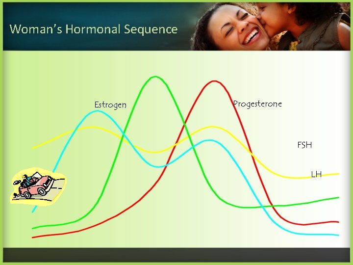 Woman’s Hormonal Sequence Estrogen Progesterone FSH LH 