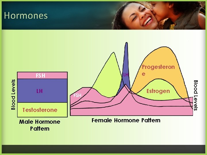 Hormones LH LH FSH Estrogen Testosterone Male Hormone Pattern Female Hormone Pattern Blood Levels