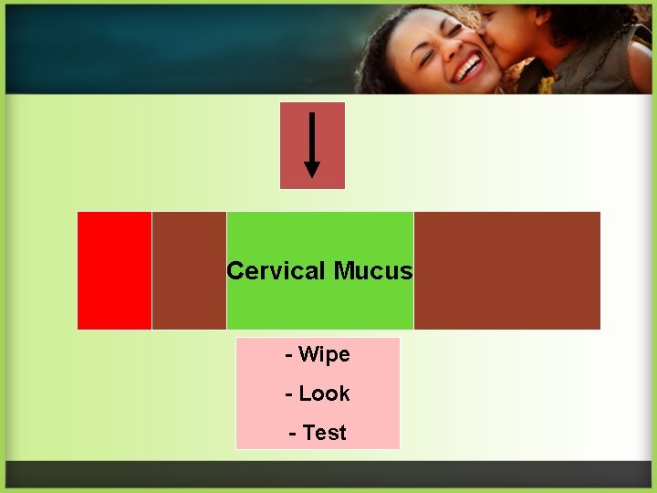 Cervical Mucus - Wipe - Look - Test 