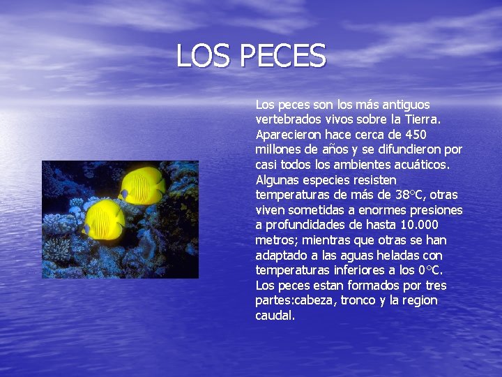 LOS PECES Los peces son los más antiguos vertebrados vivos sobre la Tierra. Aparecieron