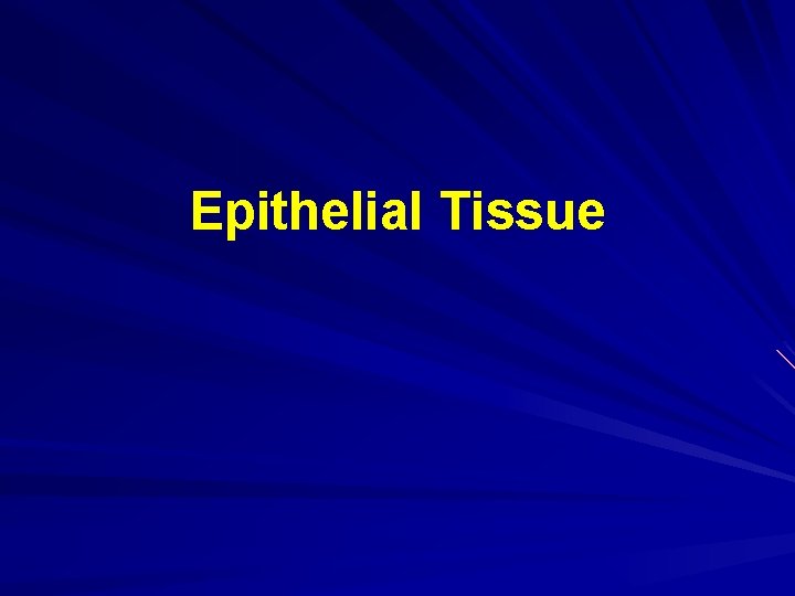 Epithelial Tissue 