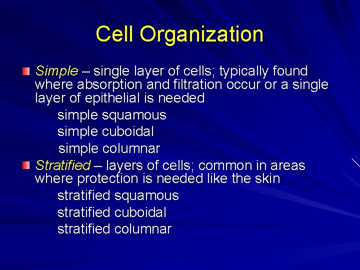 Cell Organization Simple – single layer of cells; typically found where absorption and filtration