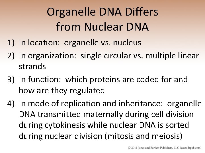 Organelle DNA Differs from Nuclear DNA 1) In location: organelle vs. nucleus 2) In