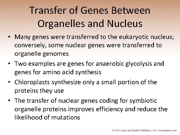 Transfer of Genes Between Organelles and Nucleus • Many genes were transferred to the