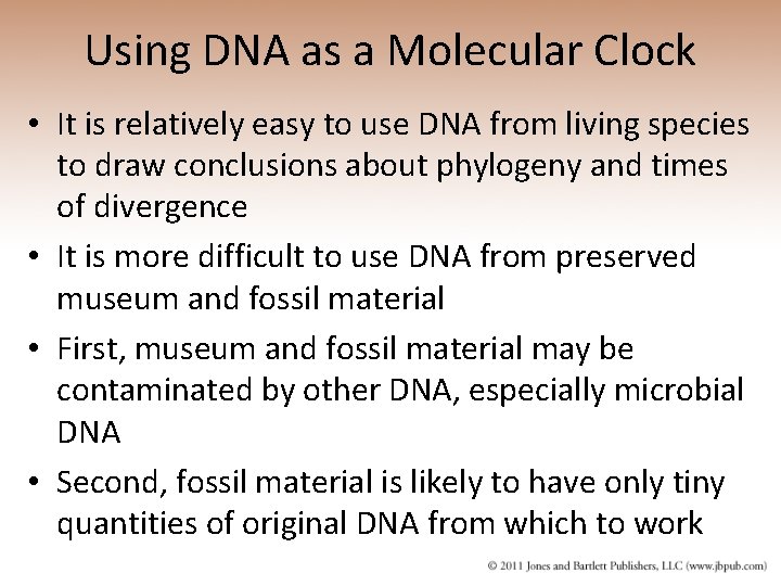 Using DNA as a Molecular Clock • It is relatively easy to use DNA