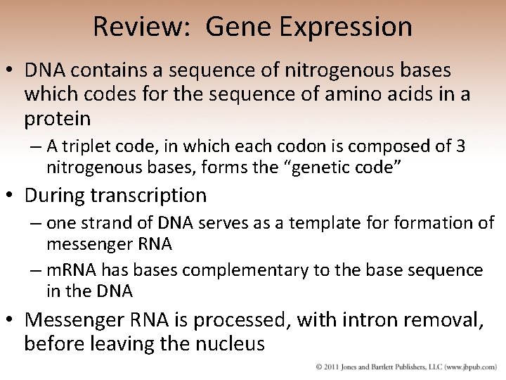 Review: Gene Expression • DNA contains a sequence of nitrogenous bases which codes for