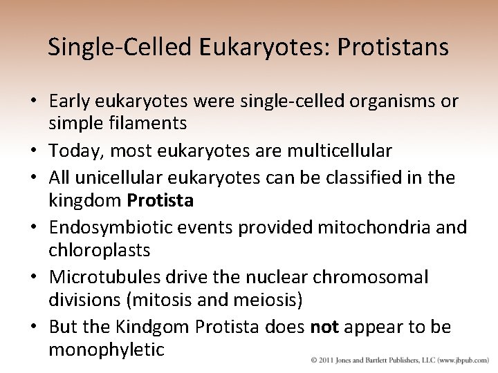 Single-Celled Eukaryotes: Protistans • Early eukaryotes were single-celled organisms or simple filaments • Today,