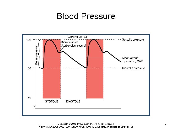Blood Pressure Copyright © 2016 by Elsevier, Inc. All rights reserved. Copyright © 2012,