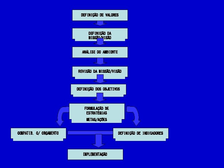 DEFINIÇÃO DE VALORES DEFINIÇÃO DA MISSÃO/VISÃO ANÁLISE DO AMBIENTE REVISÃO DA MISSÃO/VISÃO DEFINIÇÃO DOS