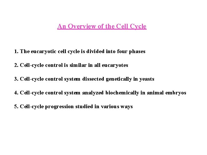 An Overview of the Cell Cycle 1. The eucaryotic cell cycle is divided into