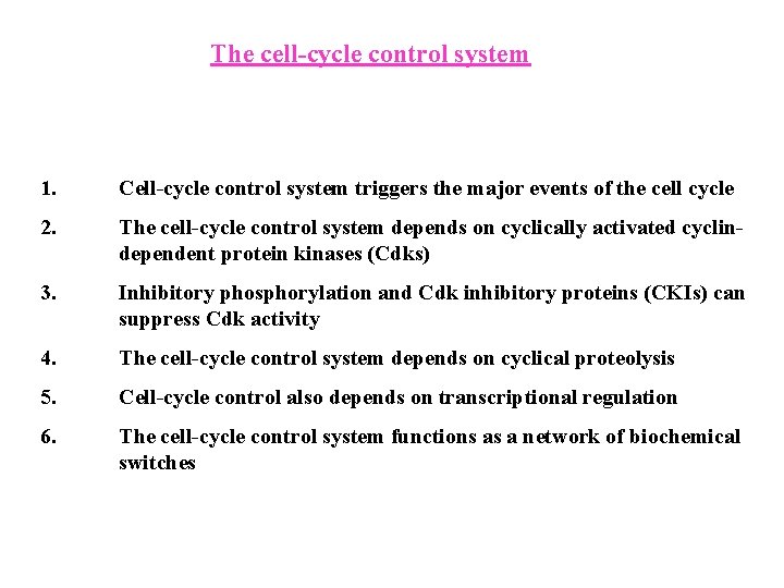 The cell-cycle control system 1. Cell-cycle control system triggers the major events of the