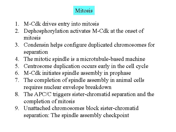 Mitosis 1. M-Cdk drives entry into mitosis 2. Dephosphorylation activates M-Cdk at the onset