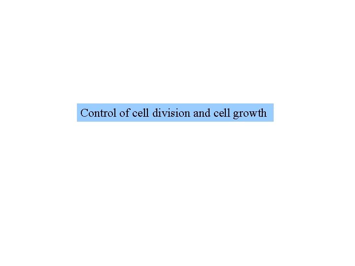 Control of cell division and cell growth 