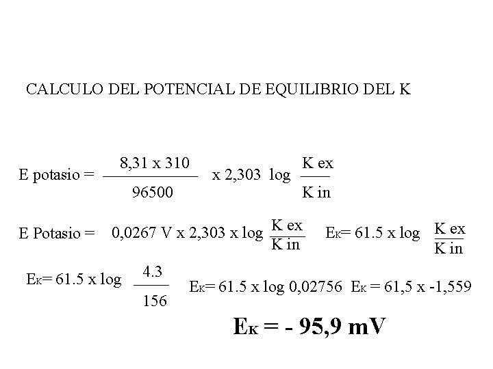 CALCULO DEL POTENCIAL DE EQUILIBRIO DEL K E potasio = E Potasio = 8,