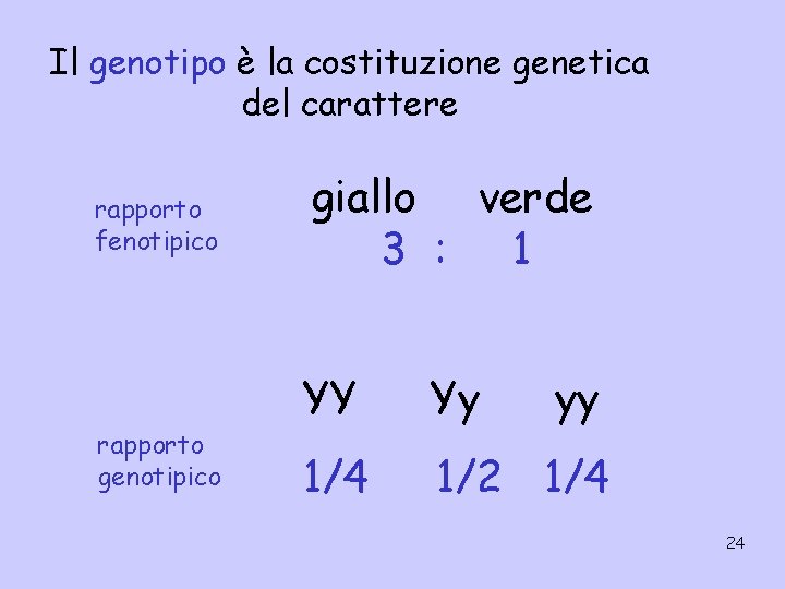 Il genotipo è la costituzione genetica del carattere rapporto fenotipico rapporto genotipico giallo verde