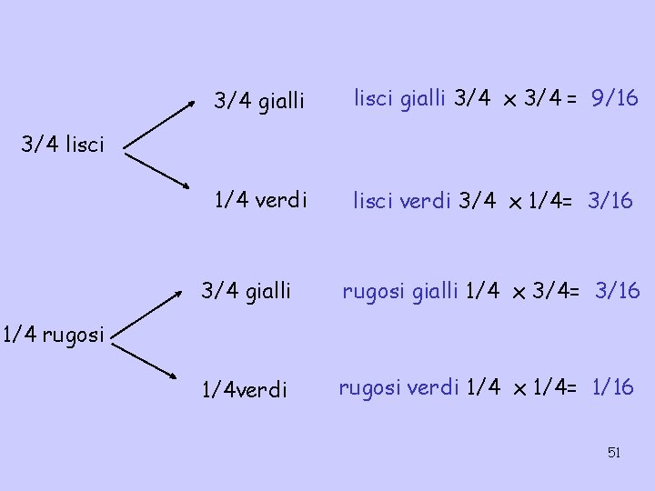 3/4 gialli lisci gialli 3/4 x 3/4 = 9/16 1/4 verdi lisci verdi 3/4