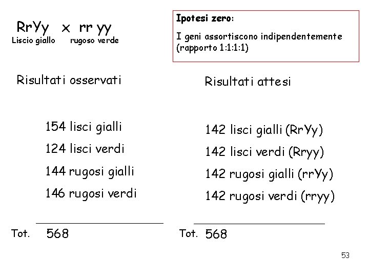 Rr. Yy x rr yy Liscio giallo rugoso verde Ipotesi zero: I geni assortiscono